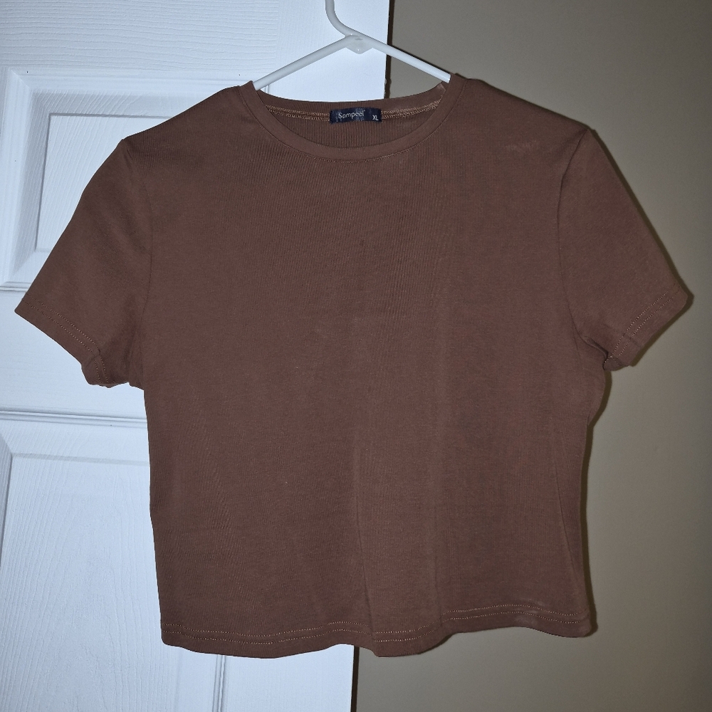 Sampeel Brown Crop Top